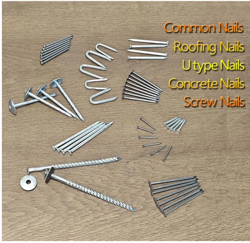 The Best Quality Iron Nails for Sale