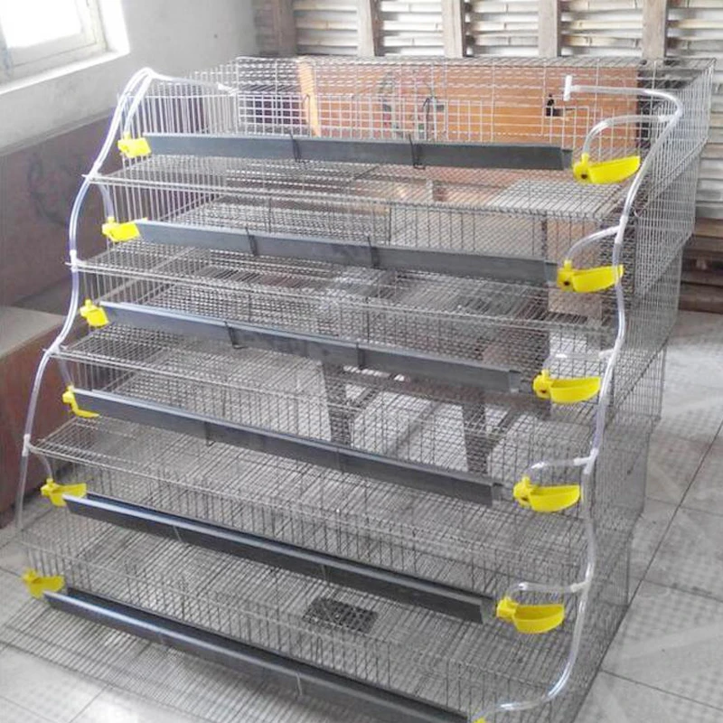 A Comprehensive Guide to Cheap Rodent Cages, Animal Cage Suppliers, and Pet Crate Size Chart