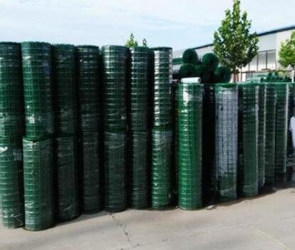 Galvanized welded wire mesh