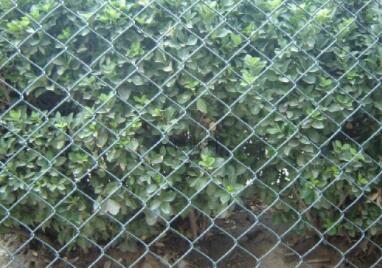 Hook mesh structure is inherently permeable
