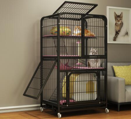 Pet Carrier – How to choose the right dog carrier