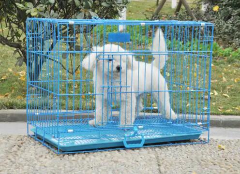 It’s time to choose a quality pet carrier for your pet