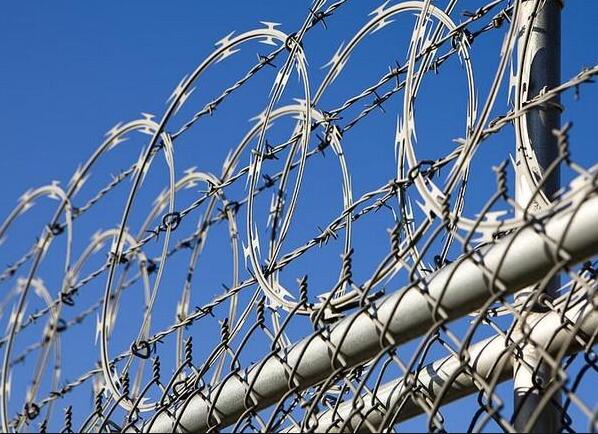 Why is the price of stainless steel barbed rope so expensive? Where do you want to go?