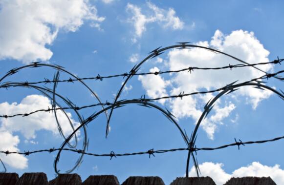 You can only choose high zinc barbed rope or stainless steel barbed rope if you want to have a longer life