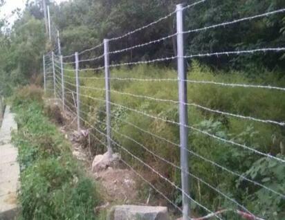 The relationship between weight and length of galvanized spines
