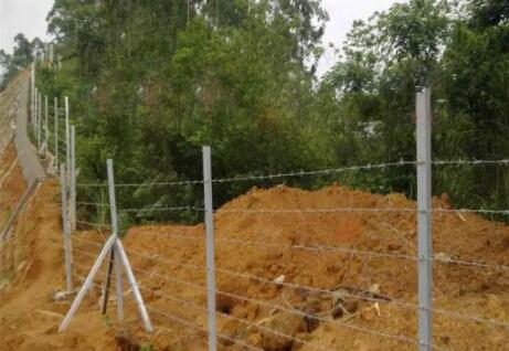 The number of barbed ropes used in the enclosure is