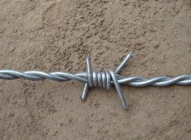 Stainless steel barbed wire and hot-dip galvanized barbed wire quality which is better