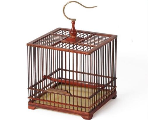 How about taking care of the cage
