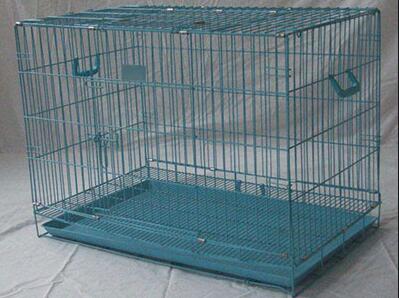 Choose a carrier suitable for your dog