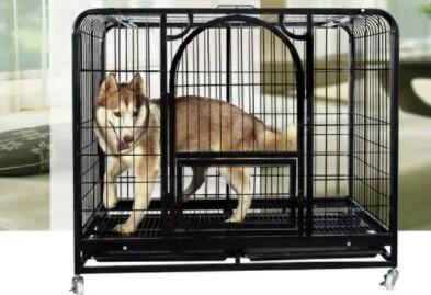 Understand the knowledge of dog cages, so that you can better raise dogs!