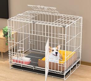 Choose a carrier that is suitable for your dog