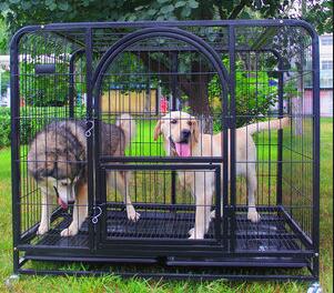 Welding of dog cages