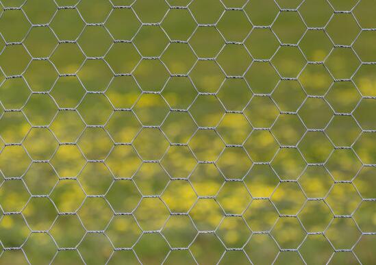 Twist twist hexagonal mesh diameter