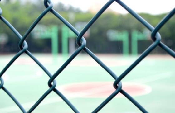 What are the precautions for painting the hook mesh guardrail