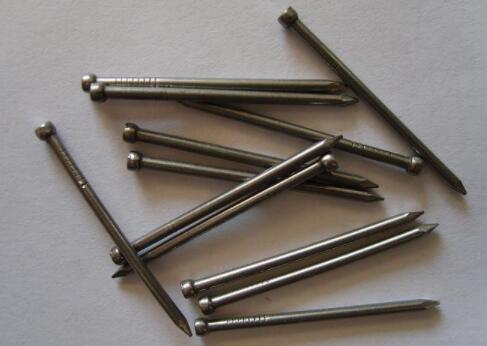 The Type Of Nails