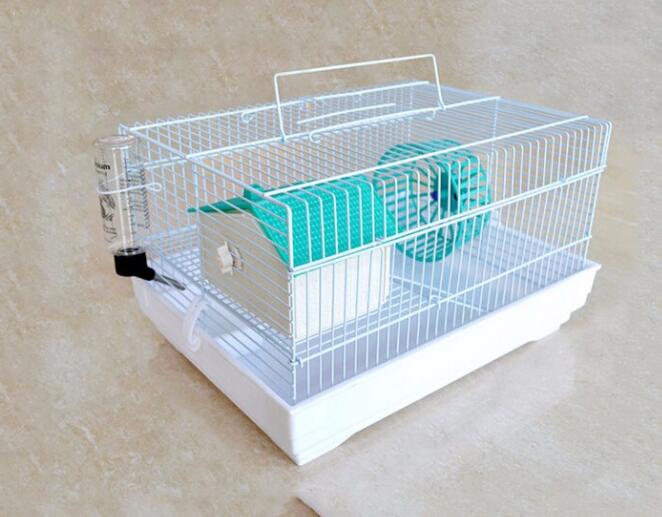 You need to use a special pet carrier when you check your pet