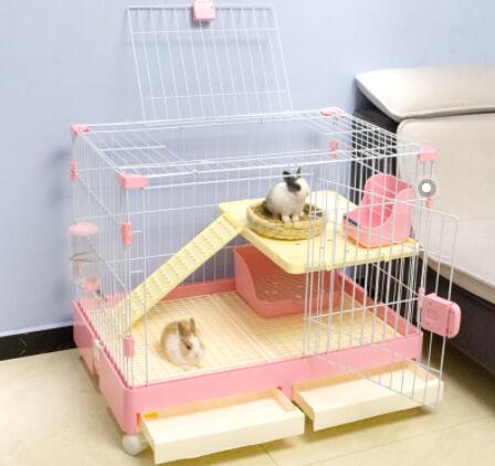 These knowledge points of pet carrier, worth a look!